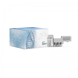 SARS-2-CoV(Covid-19) nucleic acid detection cartridge (Real-time reverse transcription PCR method)